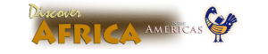Discover Africa in America banner image