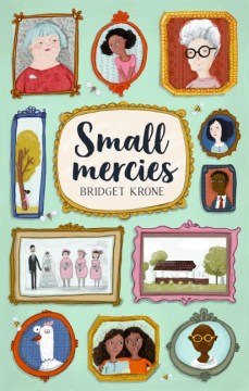 Small Mercies Book Cover