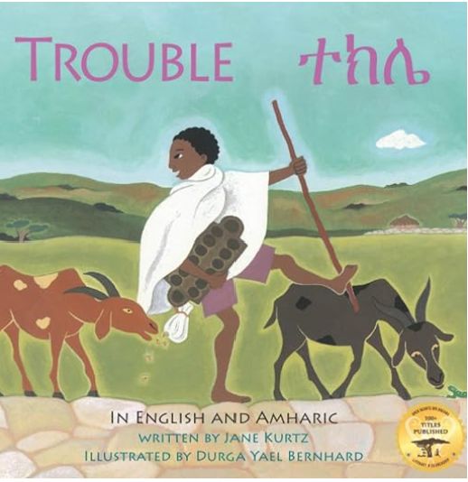 Trouble Book Cover
