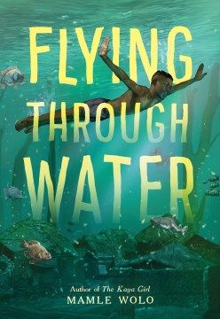 Flying Through Water Book Cover